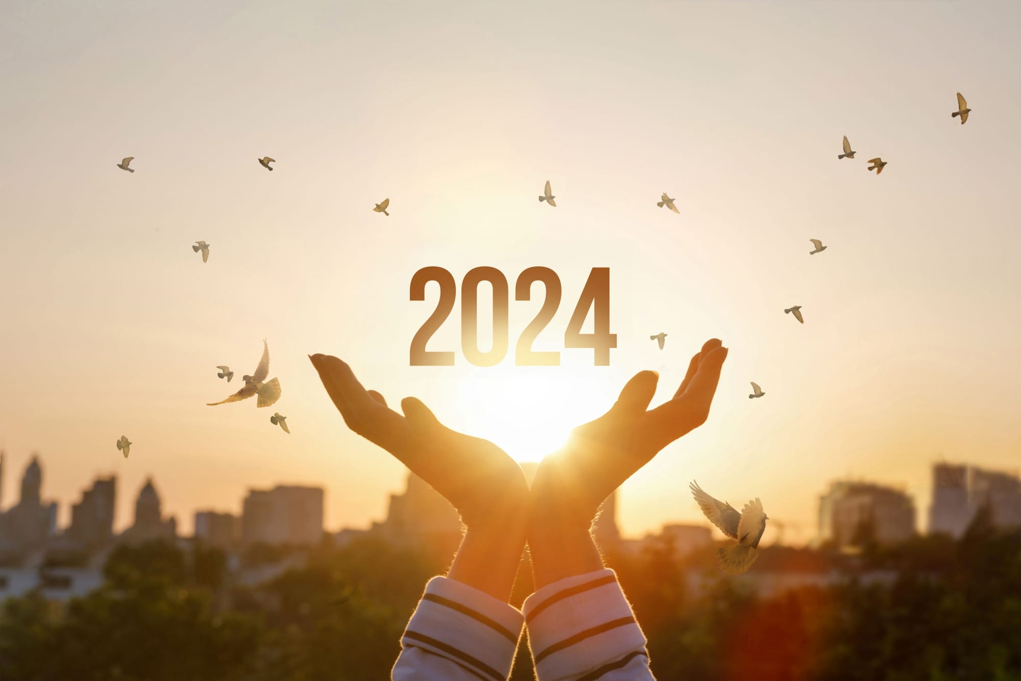 Review your finances and look forward to a prosperous year ahead : the image shows hands reaching up to the sky with doves and 2024.