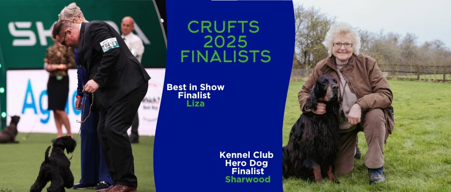 CRUFTS 2025! article image